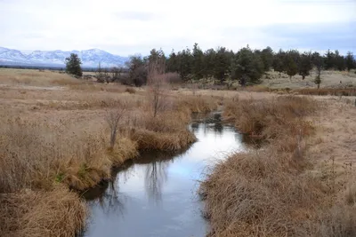 DSC_2928 (Large).JPG